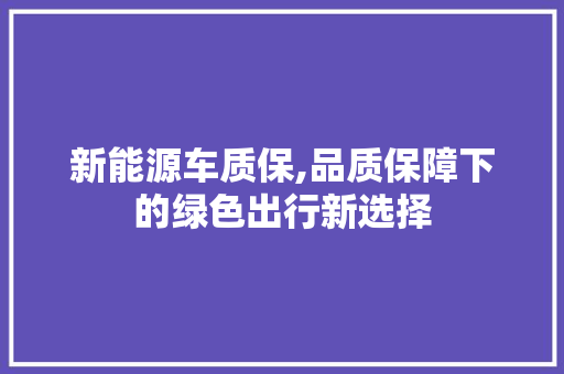 新能源车质保,品质保障下的绿色出行新选择