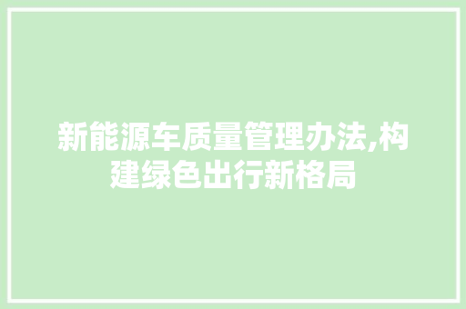 新能源车质量管理办法,构建绿色出行新格局