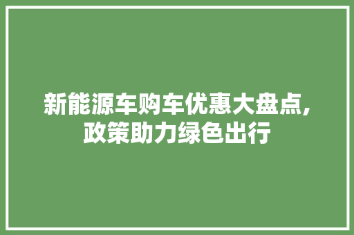 新能源车购车优惠大盘点,政策助力绿色出行