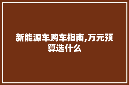 新能源车购车指南,万元预算选什么