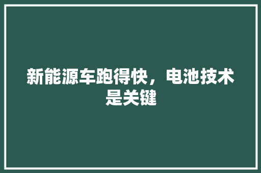 新能源车跑得快，电池技术是关键