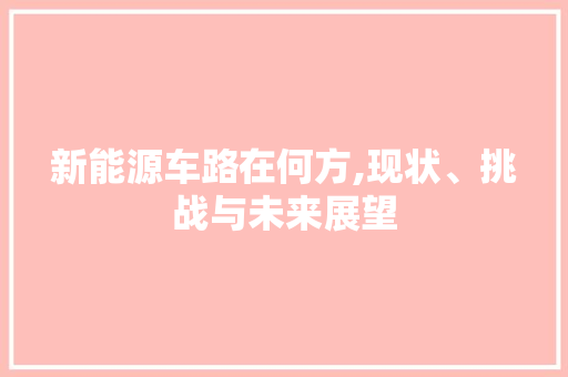 新能源车路在何方,现状、挑战与未来展望