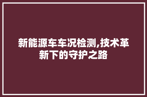 新能源车车况检测,技术革新下的守护之路