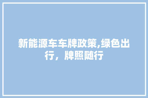 新能源车车牌政策,绿色出行，牌照随行