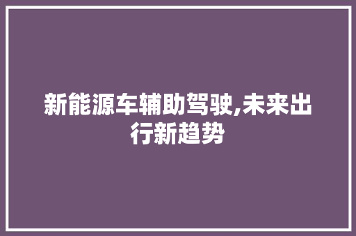 新能源车辅助驾驶,未来出行新趋势