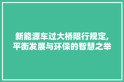 新能源车过大桥限行规定,平衡发展与环保的智慧之举