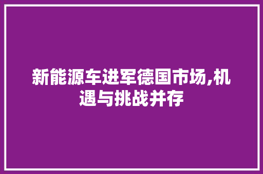 新能源车进军德国市场,机遇与挑战并存