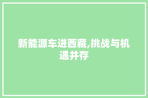 新能源车进西藏,挑战与机遇并存