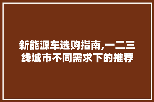 新能源车选购指南,一二三线城市不同需求下的推荐