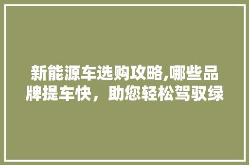 新能源车选购攻略,哪些品牌提车快，助您轻松驾驭绿色出行