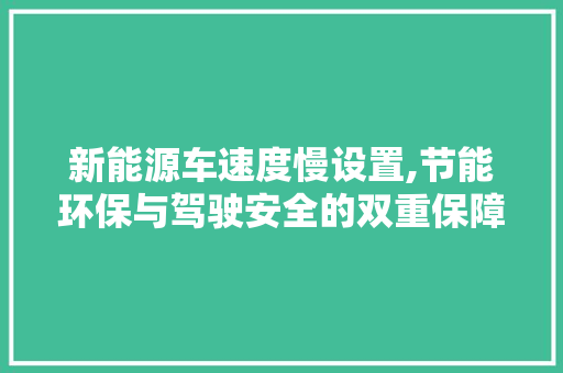 新能源车速度慢设置,节能环保与驾驶安全的双重保障