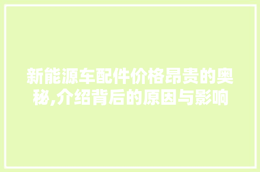 新能源车配件价格昂贵的奥秘,介绍背后的原因与影响