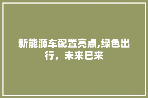 新能源车配置亮点,绿色出行，未来已来