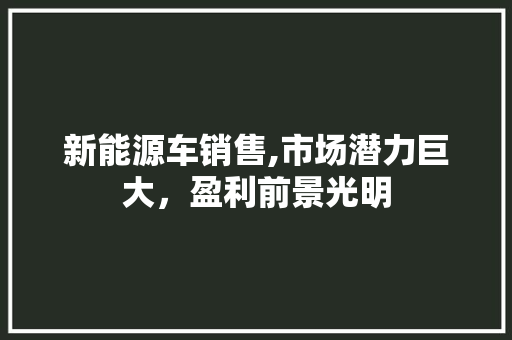 新能源车销售,市场潜力巨大，盈利前景光明