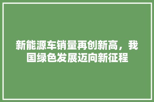 新能源车销量再创新高，我国绿色发展迈向新征程