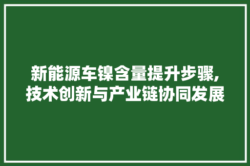 新能源车镍含量提升步骤,技术创新与产业链协同发展  第1张