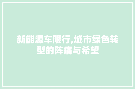 新能源车限行,城市绿色转型的阵痛与希望