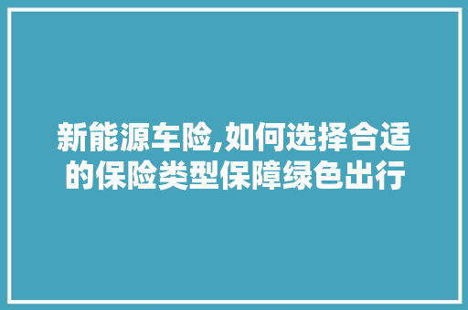 新能源车险,如何选择合适的保险类型保障绿色出行