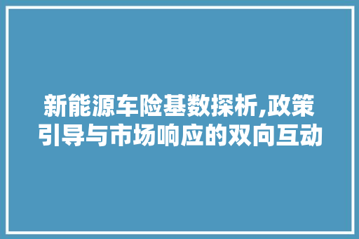 新能源车险基数探析,政策引导与市场响应的双向互动