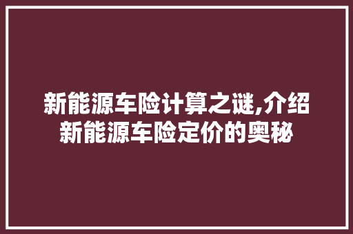 新能源车险计算之谜,介绍新能源车险定价的奥秘