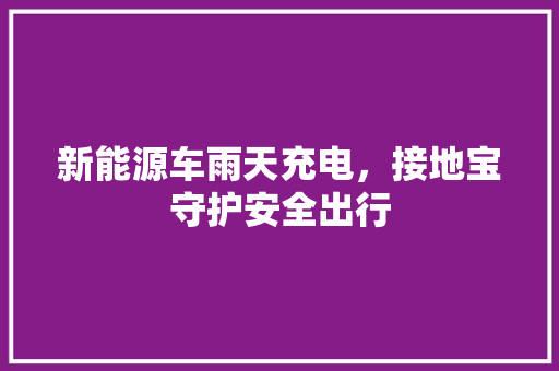 新能源车雨天充电，接地宝守护安全出行