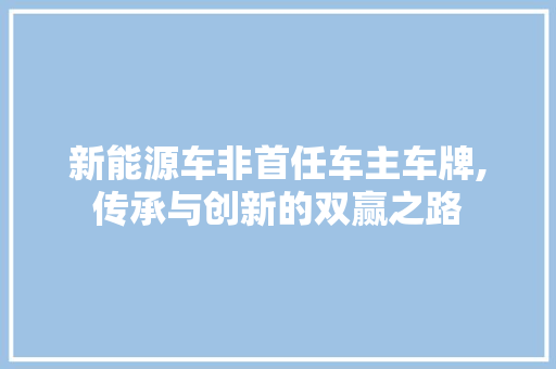 新能源车非首任车主车牌,传承与创新的双赢之路