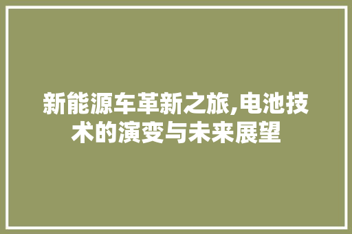 新能源车革新之旅,电池技术的演变与未来展望