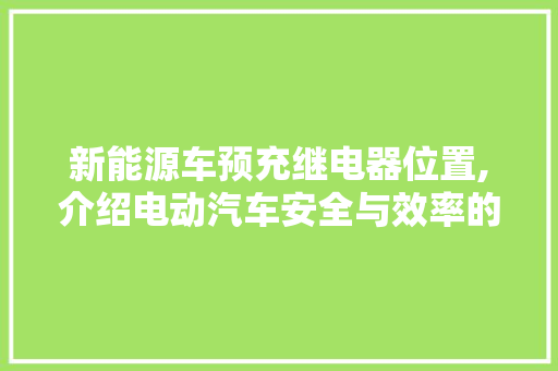 新能源车预充继电器位置,介绍电动汽车安全与效率的守护者