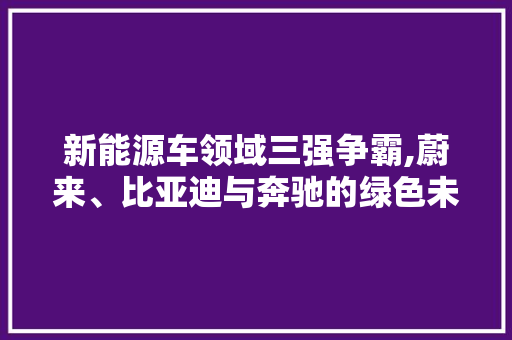 新能源车领域三强争霸,蔚来、比亚迪与奔驰的绿色未来