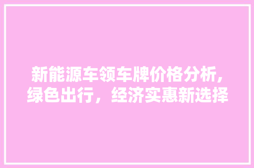 新能源车领车牌价格分析,绿色出行，经济实惠新选择