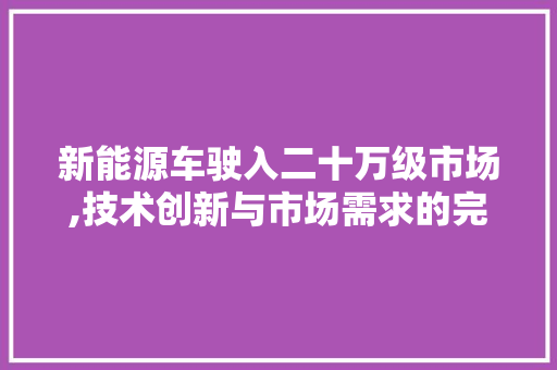 新能源车驶入二十万级市场,技术创新与市场需求的完美契合