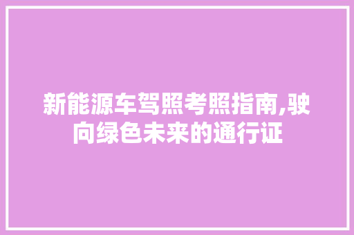 新能源车驾照考照指南,驶向绿色未来的通行证