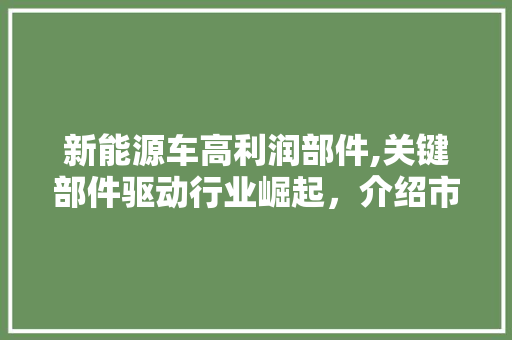 新能源车高利润部件,关键部件驱动行业崛起，介绍市场风口