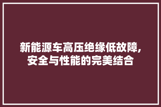 新能源车高压绝缘低故障,安全与性能的完美结合