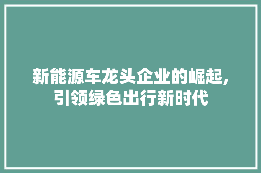 新能源车龙头企业的崛起,引领绿色出行新时代