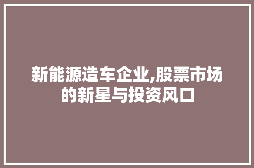 新能源造车企业,股票市场的新星与投资风口