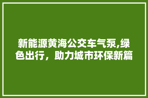 新能源黄海公交车气泵,绿色出行，助力城市环保新篇章