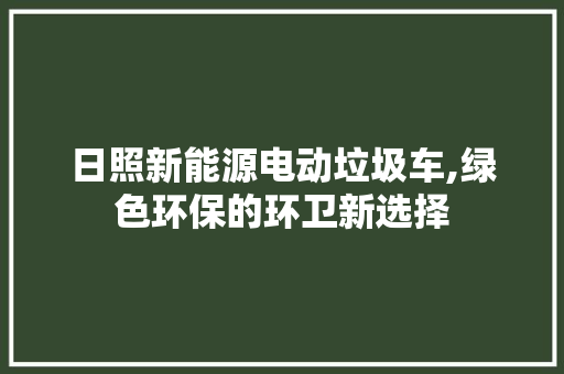 日照新能源电动垃圾车,绿色环保的环卫新选择