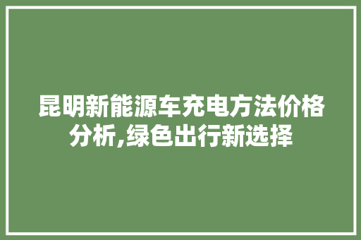 昆明新能源车充电方法价格分析,绿色出行新选择