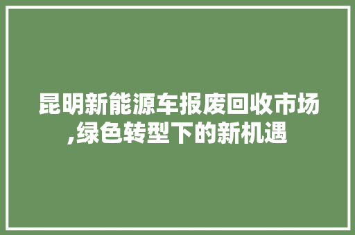 昆明新能源车报废回收市场,绿色转型下的新机遇