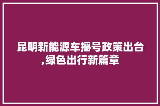 昆明新能源车摇号政策出台,绿色出行新篇章