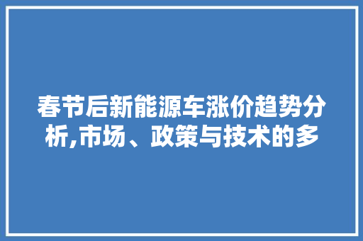 春节后新能源车涨价趋势分析,市场、政策与技术的多重影响