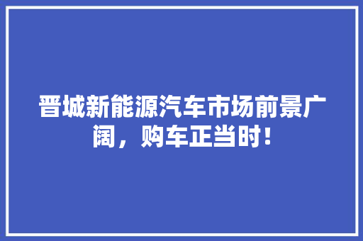 晋城新能源汽车市场前景广阔，购车正当时！