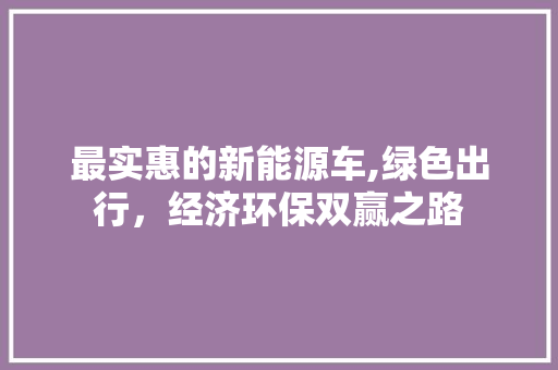 最实惠的新能源车,绿色出行，经济环保双赢之路