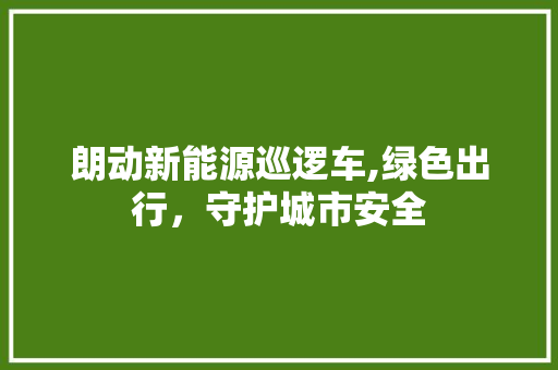 朗动新能源巡逻车,绿色出行，守护城市安全