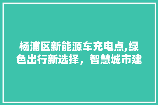 杨浦区新能源车充电点,绿色出行新选择，智慧城市建设新篇章