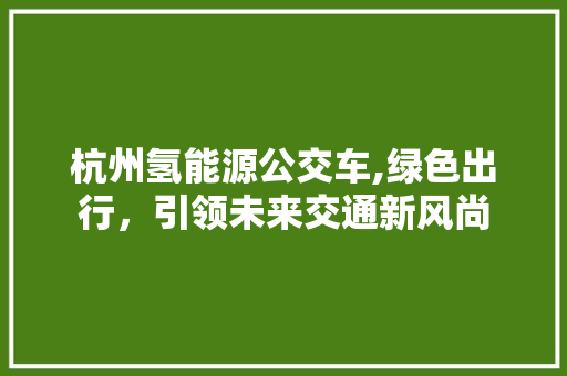 杭州氢能源公交车,绿色出行，引领未来交通新风尚