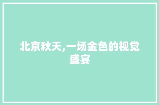 北京秋天,一场金色的视觉盛宴