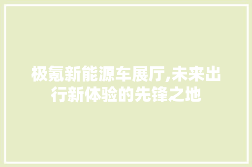 极氪新能源车展厅,未来出行新体验的先锋之地