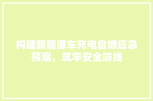 构建新能源车充电自燃应急预案，筑牢安全防线